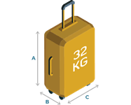 business baggage
