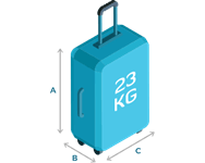 economy baggage